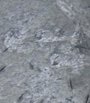metal white spots