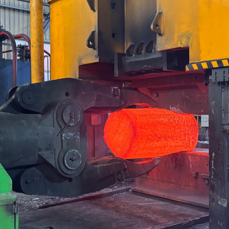 347H Forging