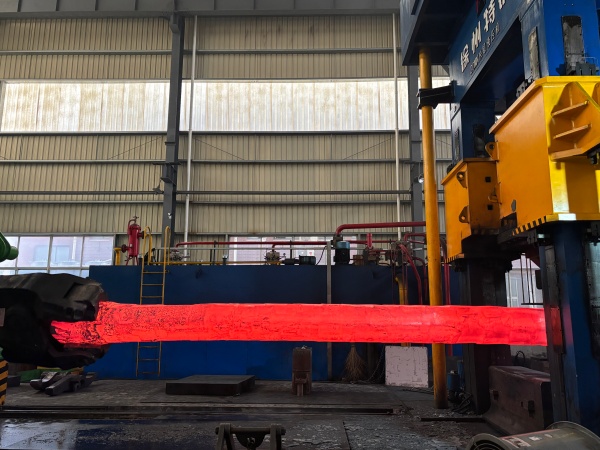 ASTM A182 Stainless Steel Seamless Round Tube Blank Forging 